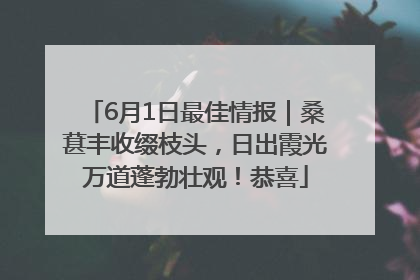 6月1日最佳情报｜桑葚丰收缀枝头，日出霞光万道蓬勃壮观！恭喜