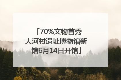 70%文物首秀 大河村遗址博物馆新馆6月14日开馆