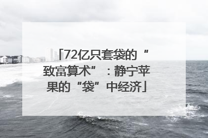 72亿只套袋的“致富算术”：静宁苹果的“袋”中经济