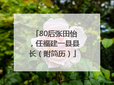 80后张田怡，任福建一县县长（附简历）