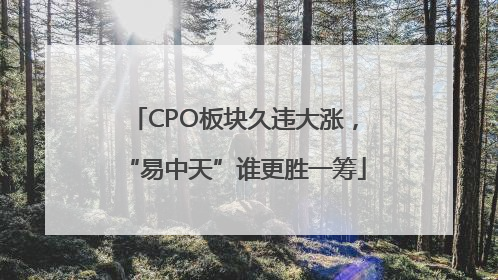 CPO板块久违大涨，“易中天”谁更胜一筹