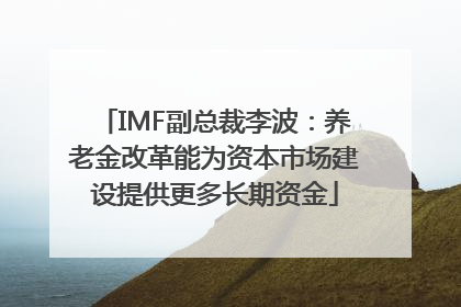 IMF副总裁李波：养老金改革能为资本市场建设提供更多长期资金